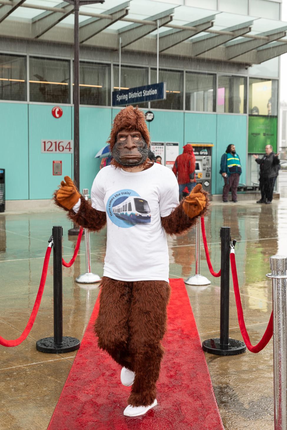 A person in a sasquatch costume in a 2-Line commemorative shirt walks on a red carpet at Spring District station