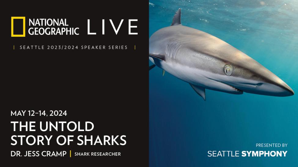 An advertisement for the Symphony's showing of NatGeo Live's Untold STory of Sharks featuring the dates and showtimes of the series with a great white swimming by