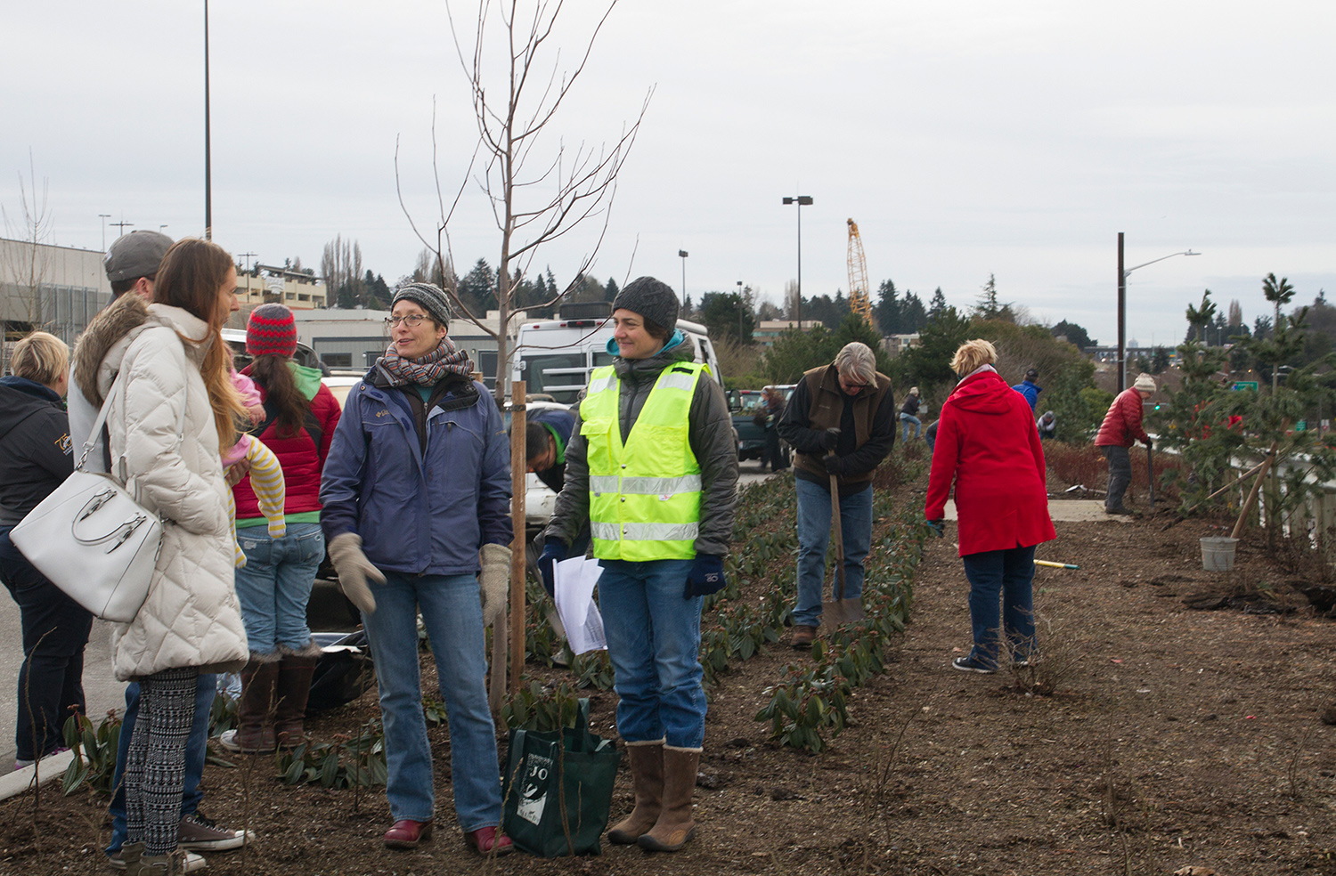 Sound Transit hosted a plant salvage at the site of the future Northgate Station on Jan. 7