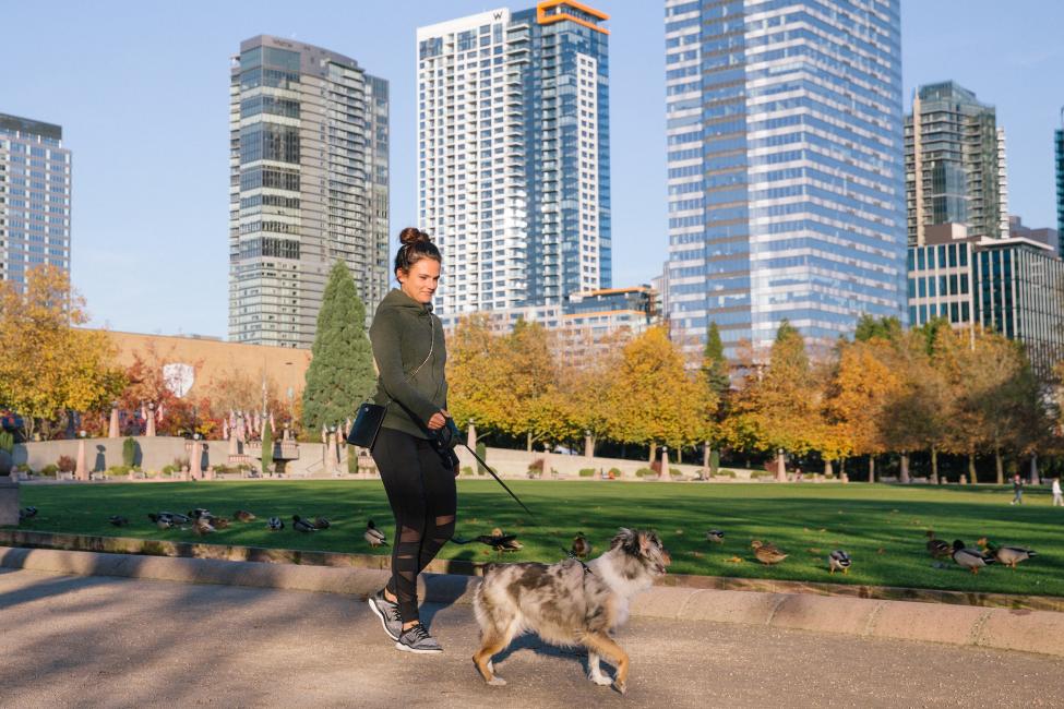 A woman walks her dog in Bellevue Downtown Park