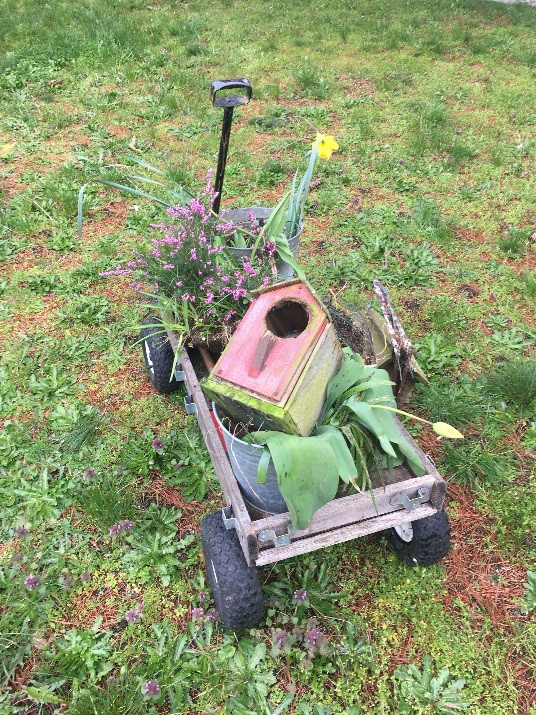 Cart with plants and a birdhouse.
