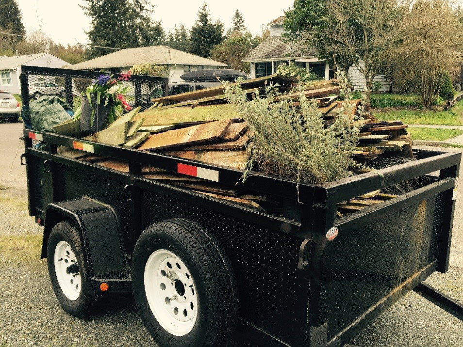 Plants in a cart.