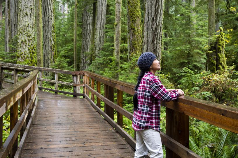 Woman stands on a bridge at the West Hylebos Wetlands Park.