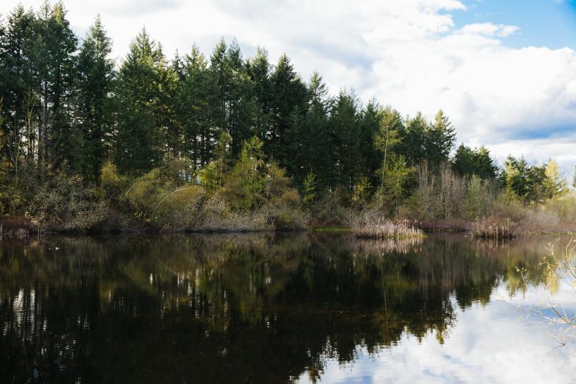 China Lake in Tacoma.