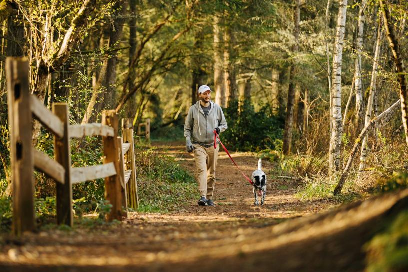 Man walks dog along China Lake Trail in Tacoma.