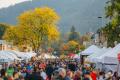 Downtown Issaquah during Salmon Days.