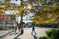 People walk down a sidewalk past trees in downtown Everett.