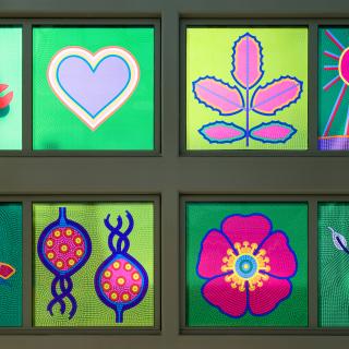 "Companion Garden" public art glass panes up close