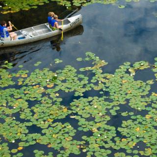 UW Canoe Rentals close to Link light rail!