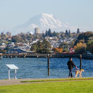 Mount Rainier looms over a hill and a body of water in Tacoma