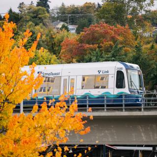 A Link train on an elevated track heading toward Mount Baker Station, with a tree with yellow leaves in the foreground