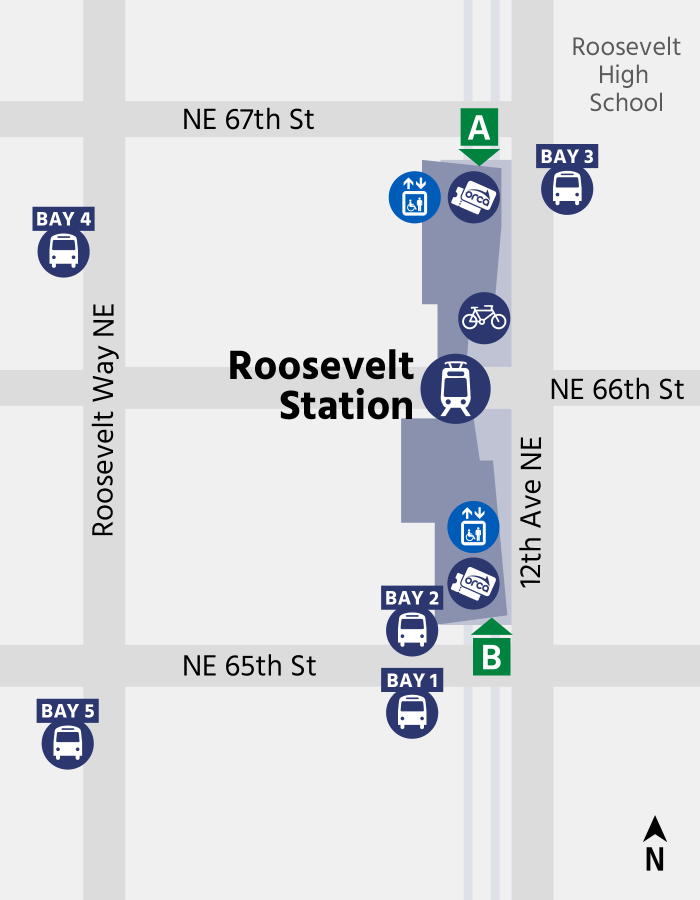 Roosevelt Station map showing location of bus bays and ticket machines