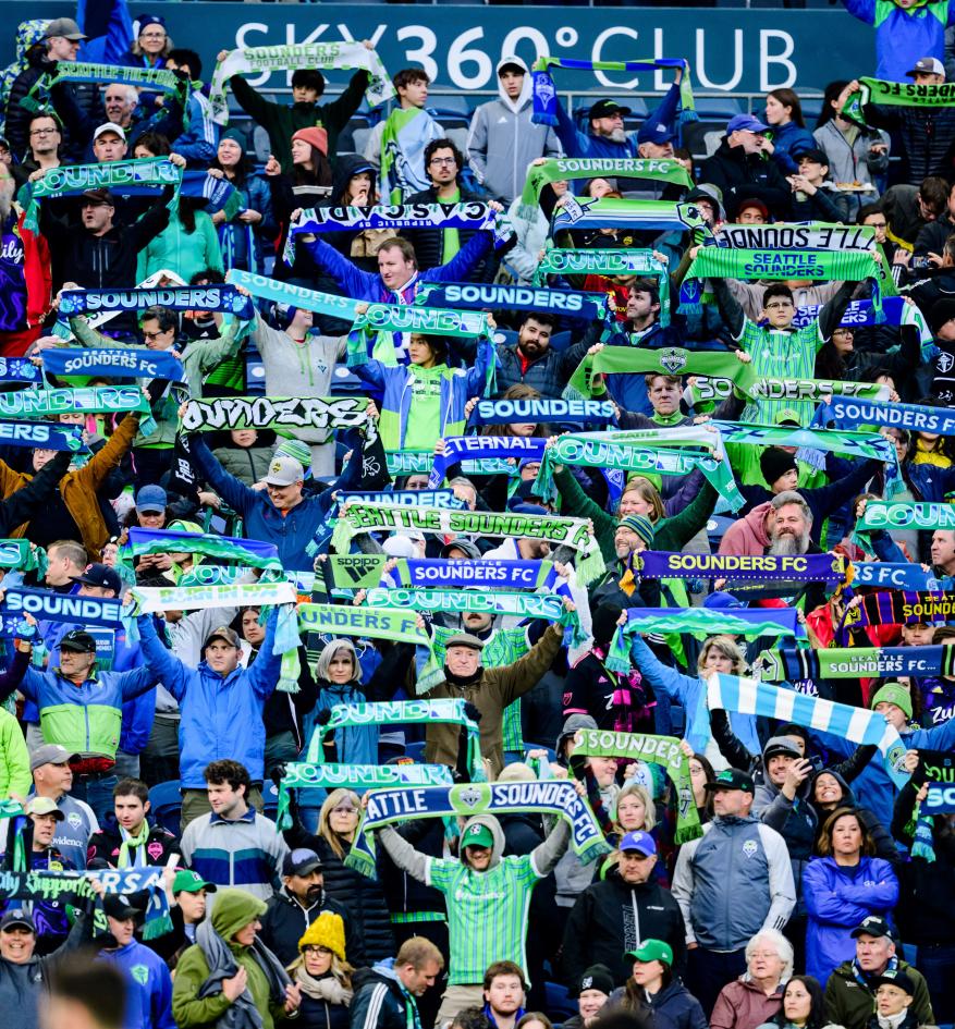 Fans in crowd holding scarves