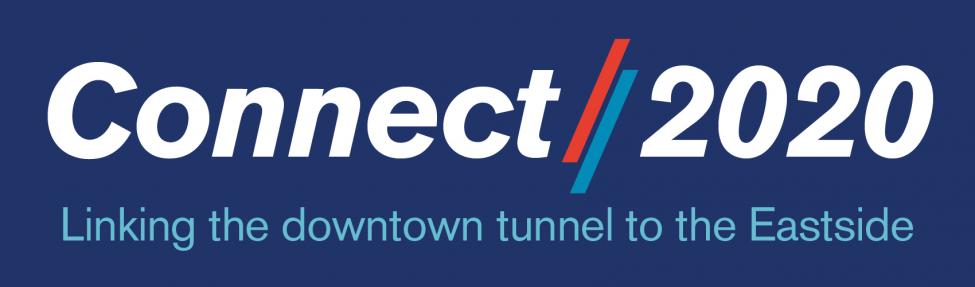 Image of Connect 2020 logo