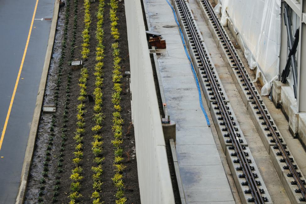 Small shrubs have been planted next to the rail on Mercer Island.