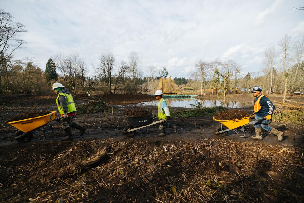 Three workers with wheelbarrows walk along a path through the wetland.