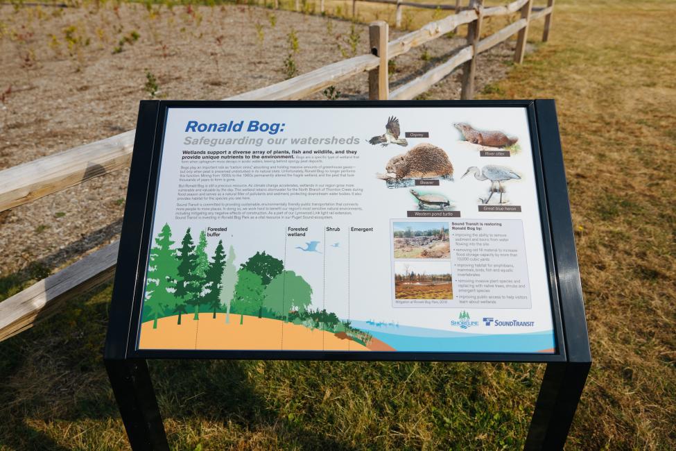 A colorful sign reads 'Ronald Bog: safeguarding our watersheds' with other text and images of wildlife including a beaver, river otter and great blue heron.