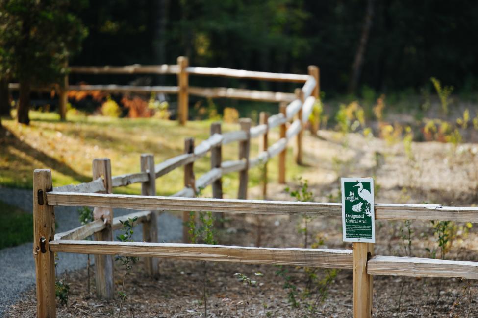 A green sign on a wood fence reads 'Designated Critical Area,' 