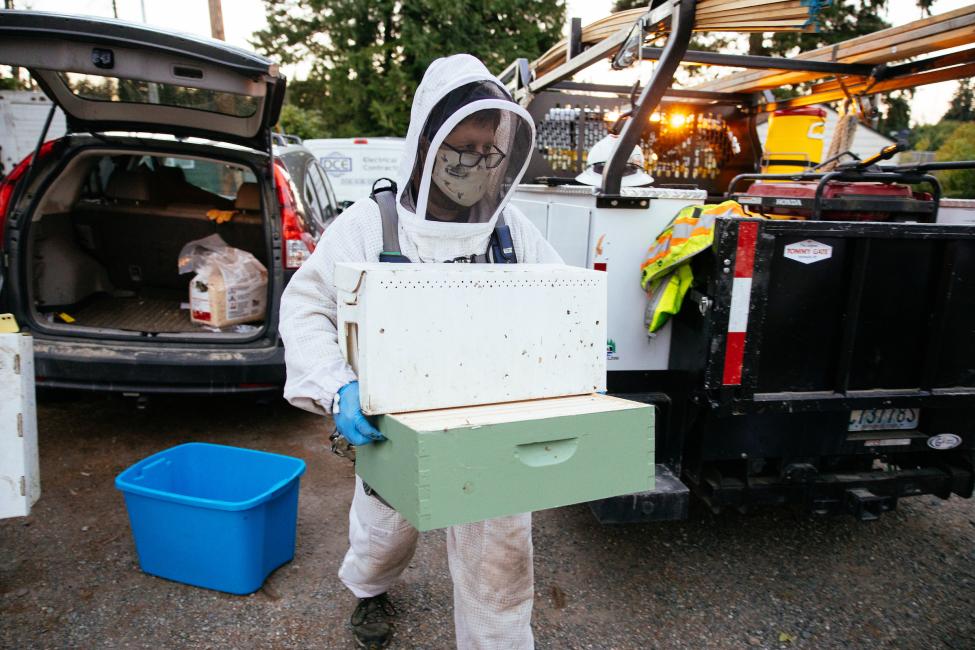 A beekeeper in a full suit carries a white container, with construction vehicles in the background.