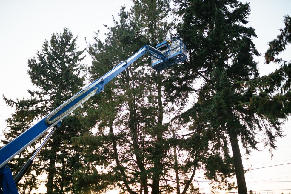 A blue Genie lift with trees in the background.