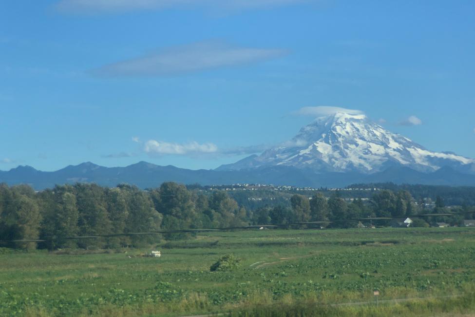 A photo of Mount Rainier with a green field in the foreground and blue sky in the background.