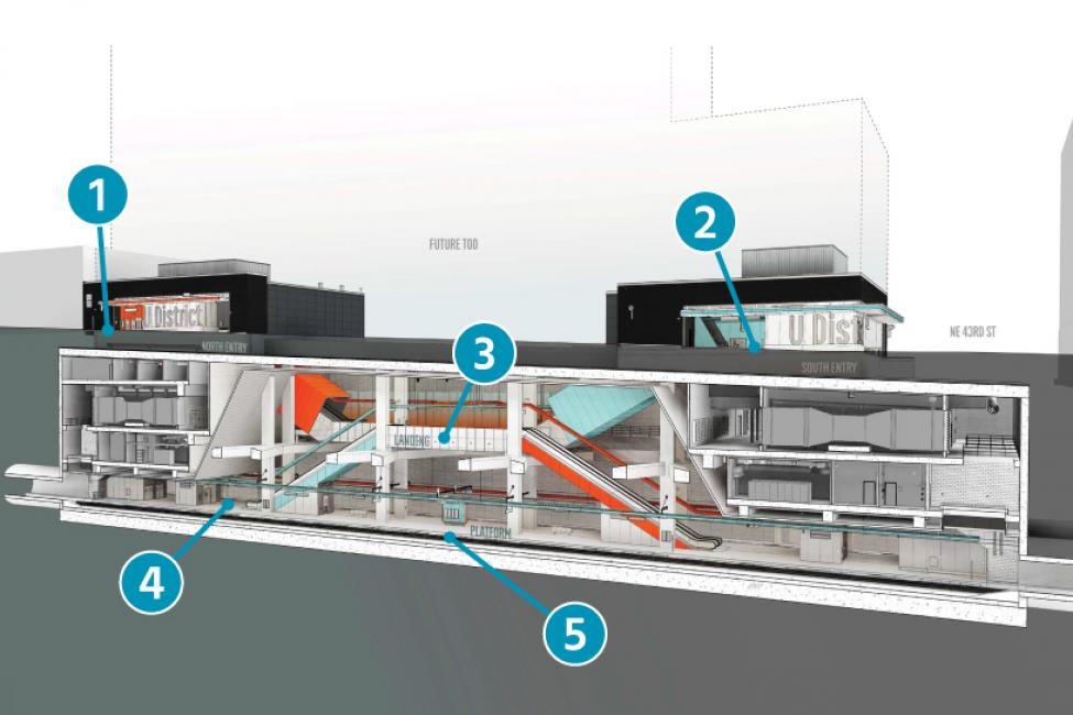 Side cutaway view of University District Station