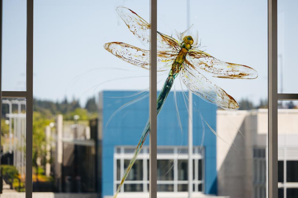 A stained glass dragonfly is etched into the windows at Northgate Station.