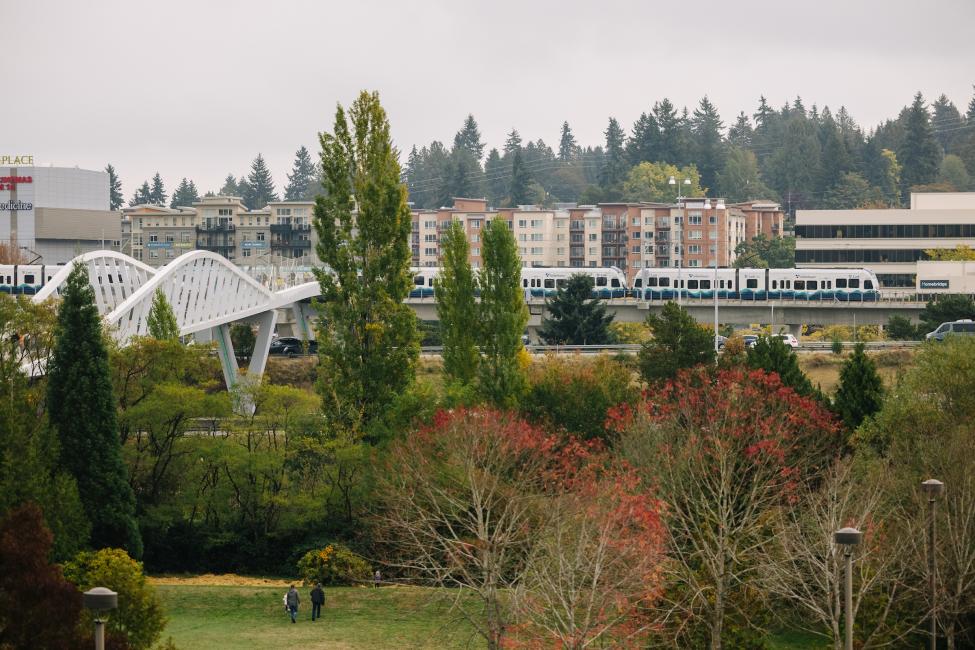 A Link train runs on elevated tracks near Northgate Station, with a pedestrian bridge on the left and maple trees in the foreground.