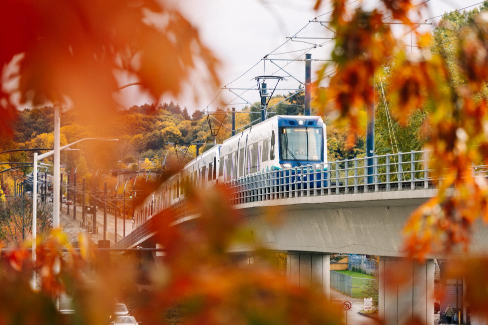 A Link light rail train framed by fall foliage as it rolls from Mt. Baker Station heading south through the Rainier Valley in Seattle. 
