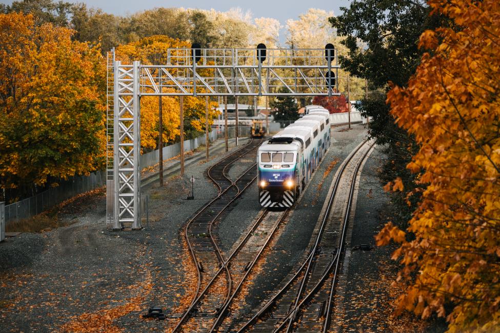 A Sounder commuter rail train rolling down tracks with trees in their blends of yellow and red colored leaves on either side. 