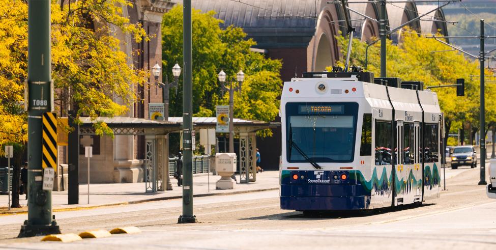 A T Line train traveling on a tree-lined street in Tacoma.