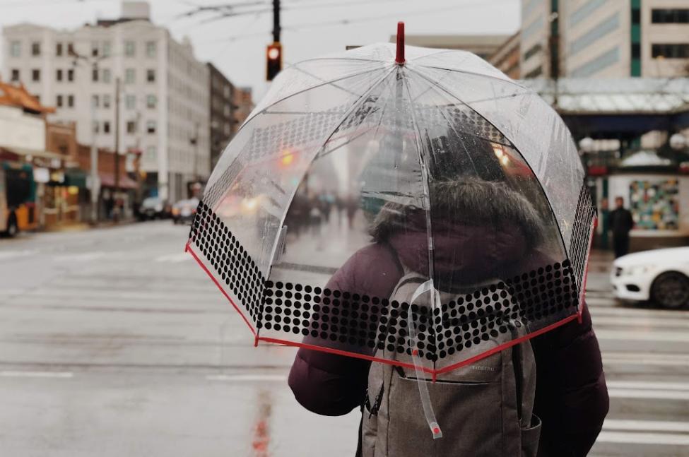 A person with their back to the camera carries a clear umbrella