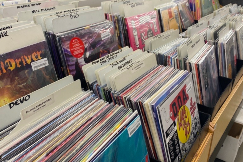 Shelves of records by bands beginning with the letter 'D'