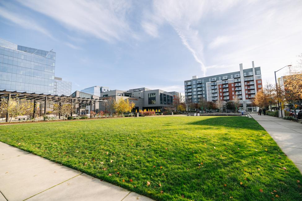 A green space in Bellevue's Spring District surrounded by buildings