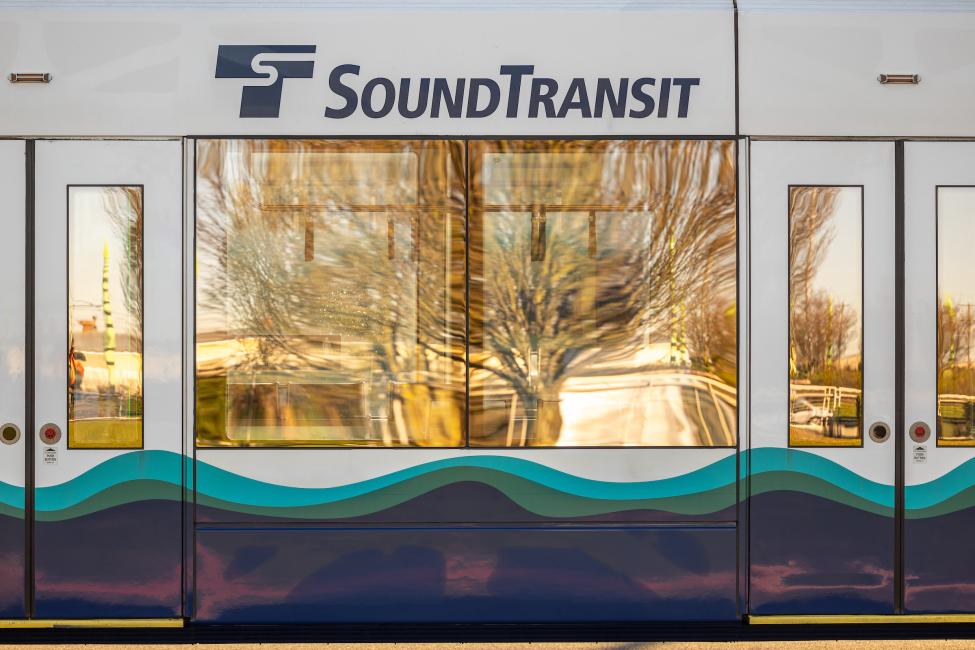 Branches of a tree are reflected in the windows of a Link light rail vehicle 