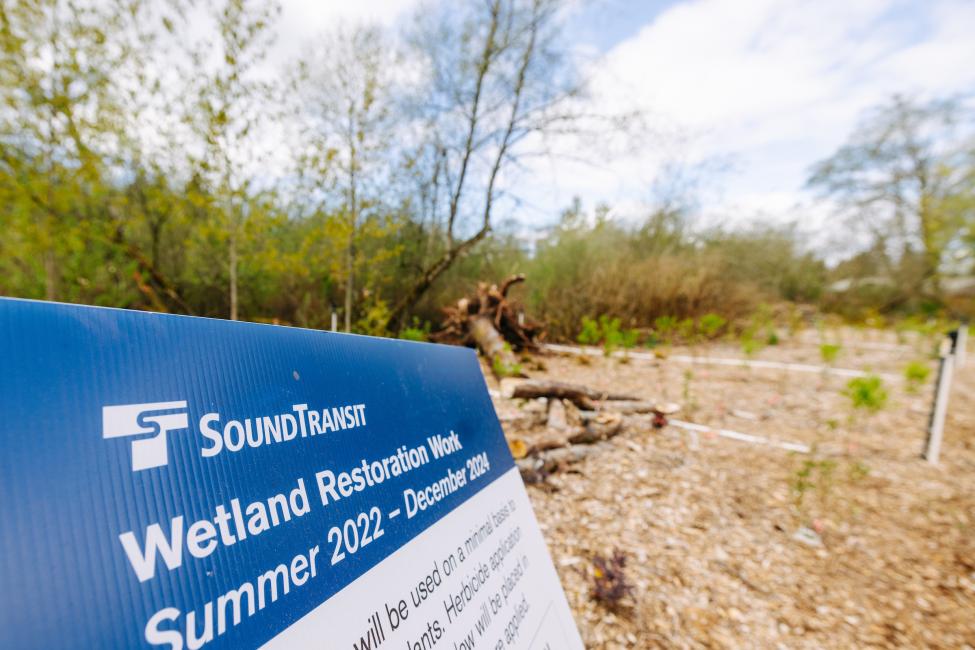 A sign in Laurelwood Park reads 'wetland restoration work summer 2022 to December 2024'