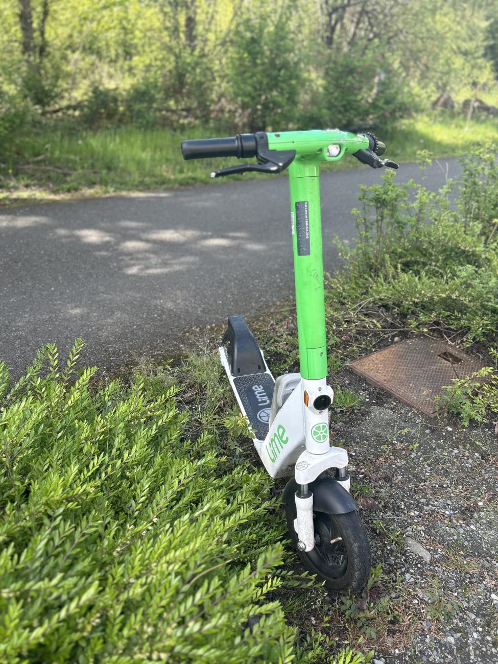 Head on photo of a Lime scooter parked near a trail