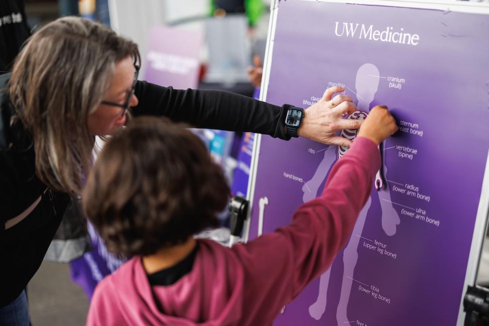 A staff member of UW Medicine shows a skeleton diagram to a child