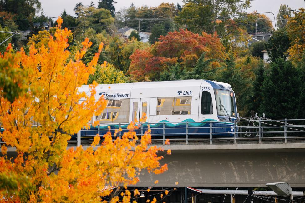 A link train travels through an elevated railway with changing leaves in the foreground