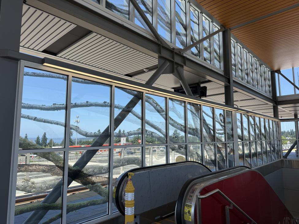 Art on the glass at Kent Des Moines Station resembles tree branches
