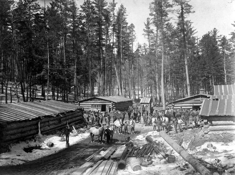A black and white photo of a logging camp