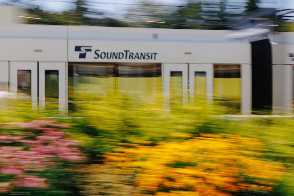A Link train blurs past a station in Shoreline with pink and yellow flowers in the foreground