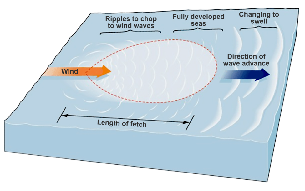 A graphic shows how wind turns ripples, to chop, to wind waves, to swell as waves advance