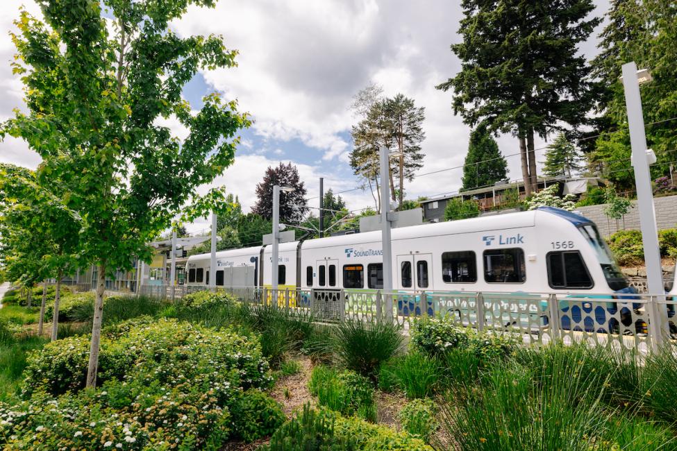 A Link train runs at-grade near East Main Station, with greenery surrounding the tracks