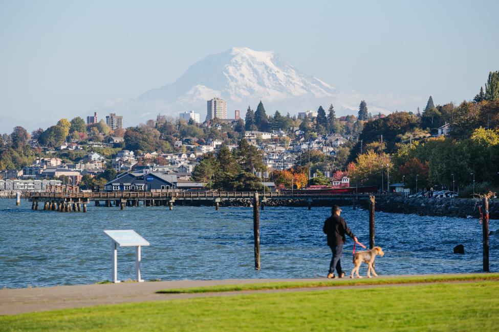 Mount Rainier looms over a hill and a body of water in Tacoma