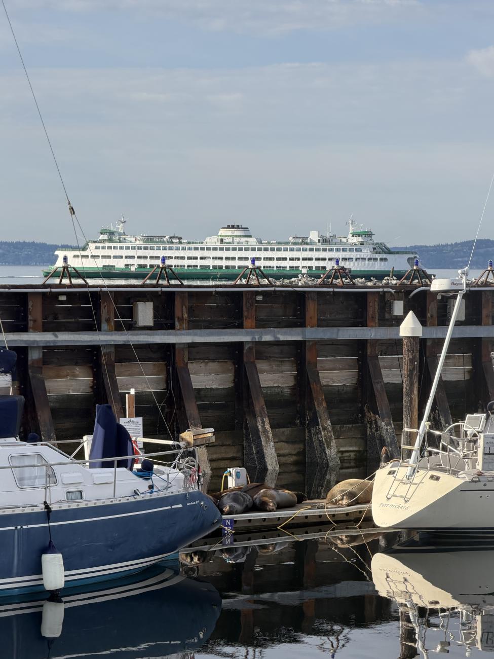 A Washington State ferry approaches Edmonds. The marina can be seen in the foreground