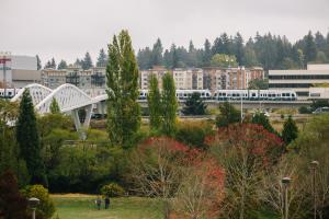 A Link train runs on elevated tracks near Northgate Station, with a pedestrian bridge on the left and maple trees in the foreground.