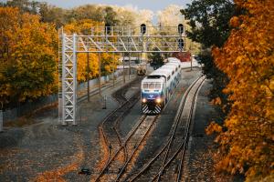 A Sounder commuter rail train rolling down tracks with trees in their blends of yellow and red colored leaves on either side. 