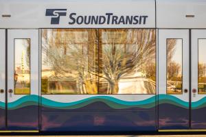 Branches of a tree are reflected in the windows of a Link light rail vehicle 