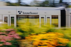 A Link train blurs past a station in Shoreline with pink and yellow flowers in the foreground